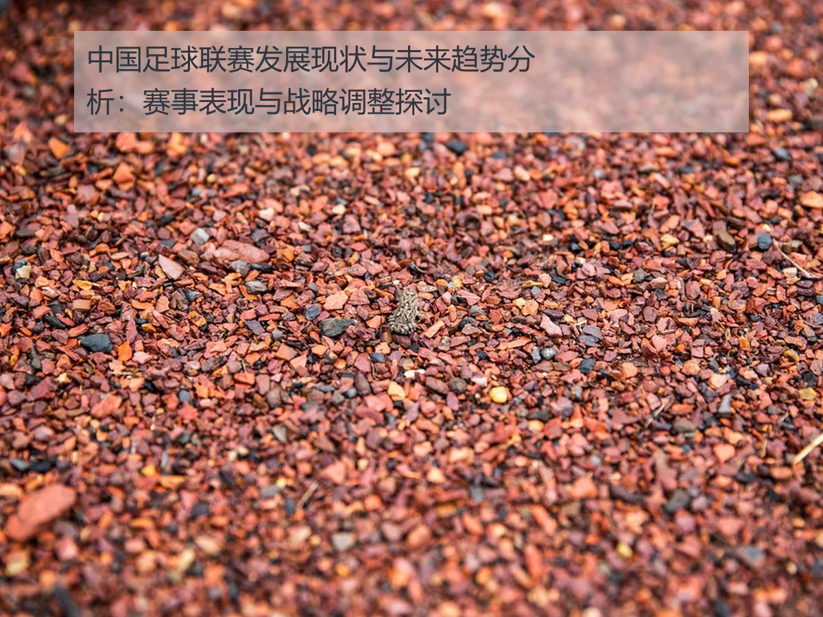中国足球联赛发展现状与未来趋势分析：赛事表现与战略调整探讨
