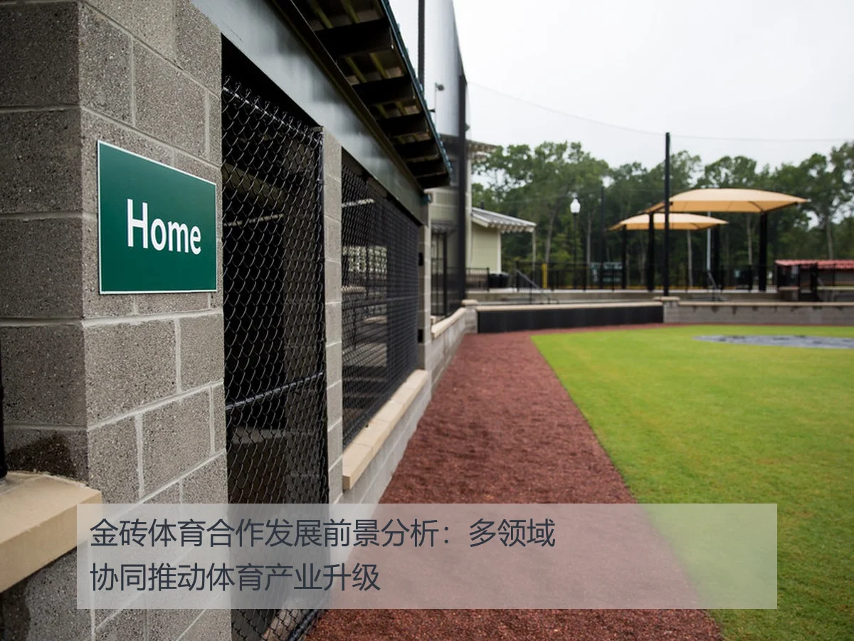 金砖体育合作发展前景分析：多领域协同推动体育产业升级